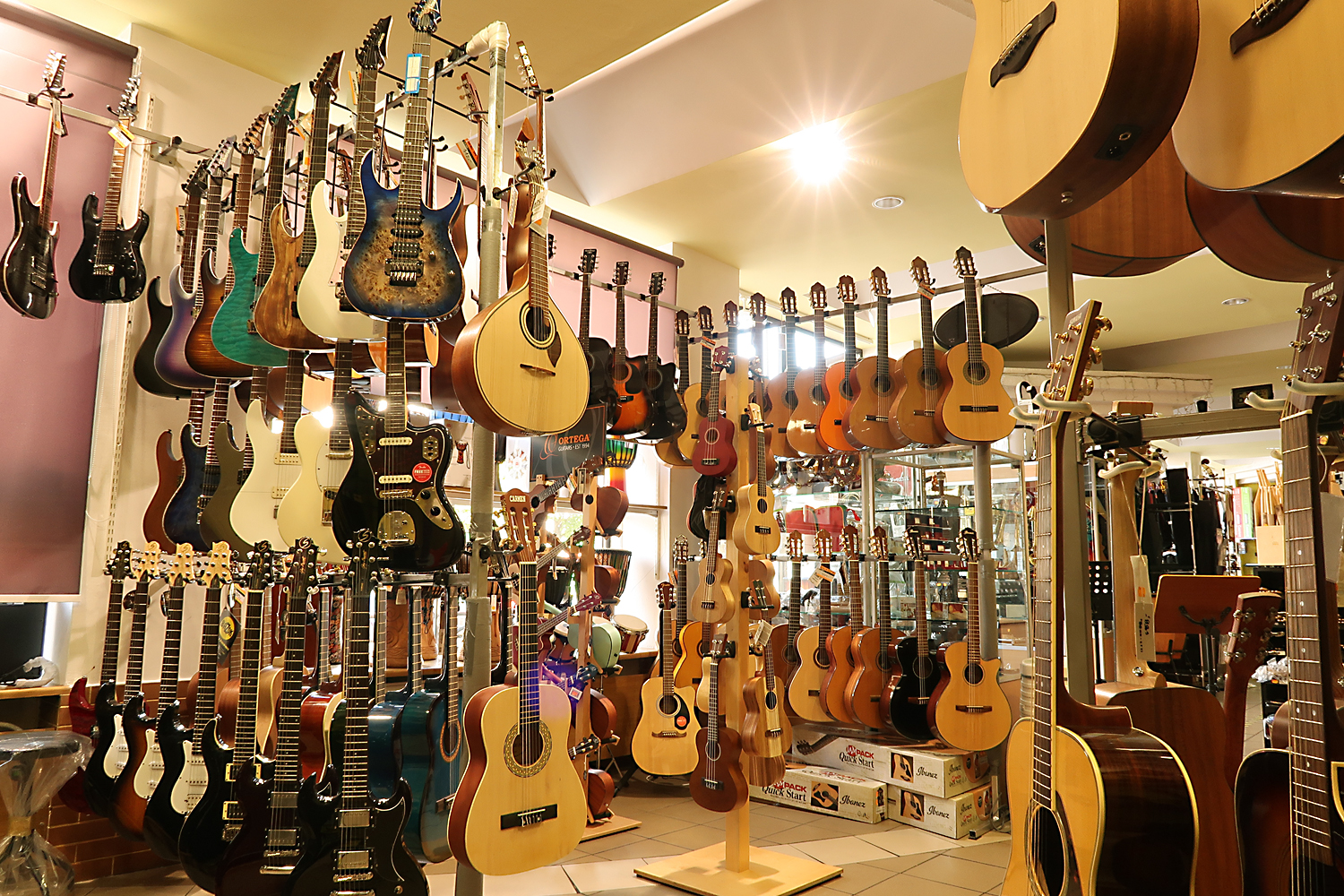 Dział gitarowy w sklepie Gama